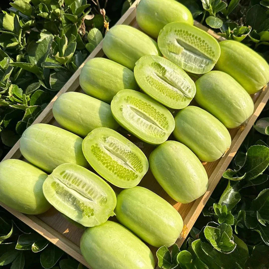 Golden Lady Cucumber Seed (Pack of 100 seeds)